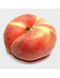 30gl Donut Peach 