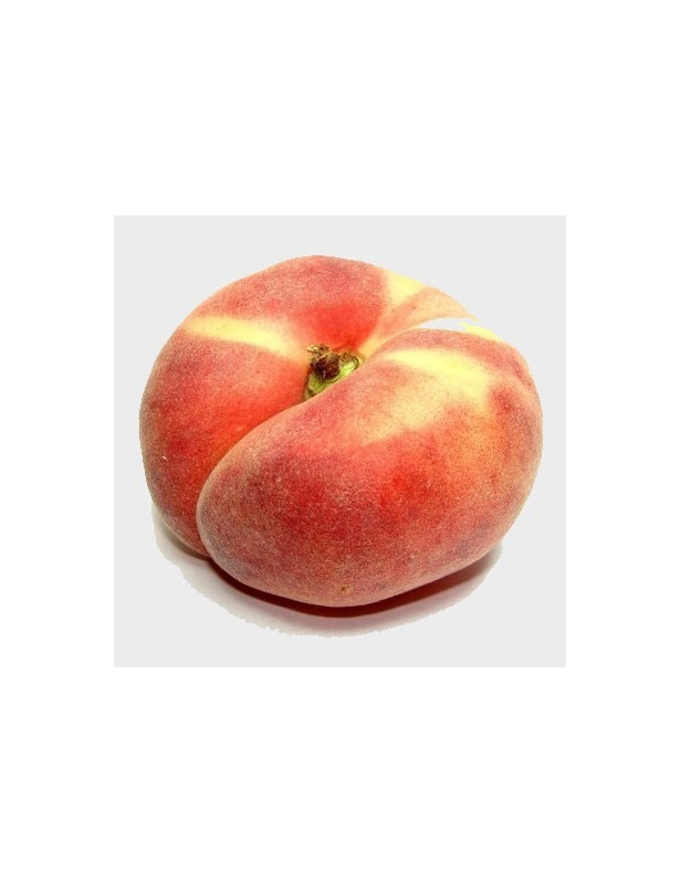 30gl Donut Peach 