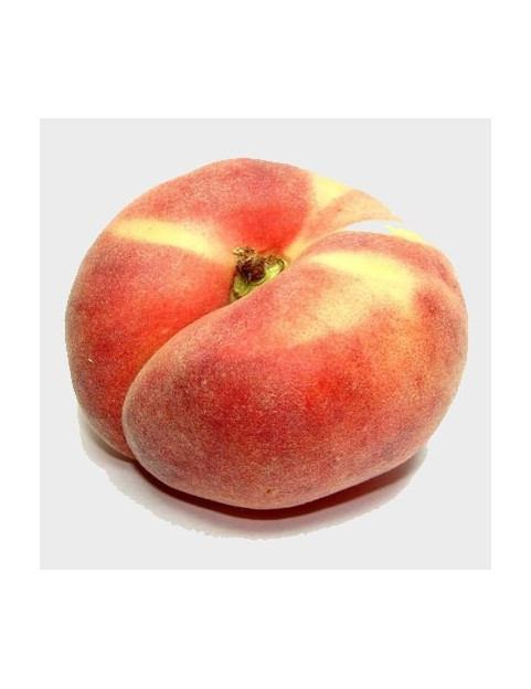 30gl Donut Peach 