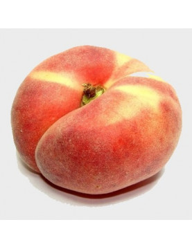 15gl Donut Peach