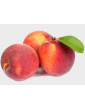 15gl O Henry Peach