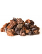 Super Moss Lava Rock Red