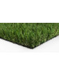 Green Fescue 