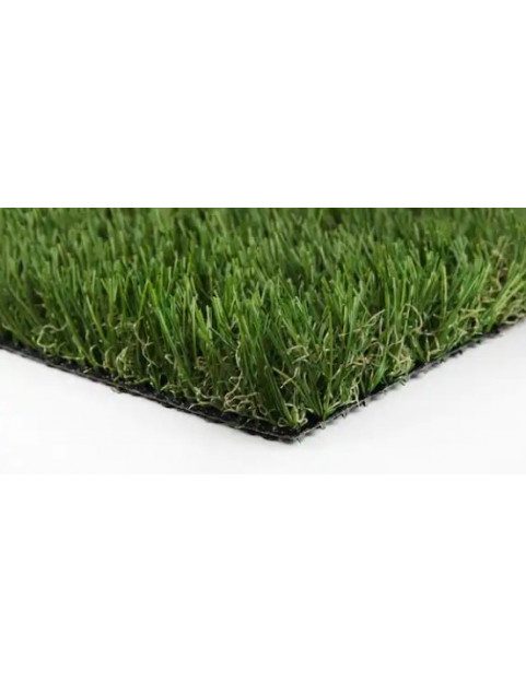 Green Fescue 