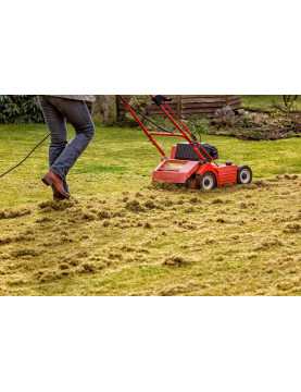 Dethatching Service / Acre