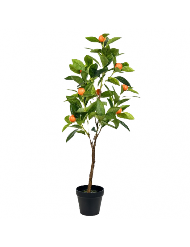 1gl Fukumoto Navel Orange
