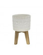 10 Aqueduct Ceramic Planter w/ Wood Stand