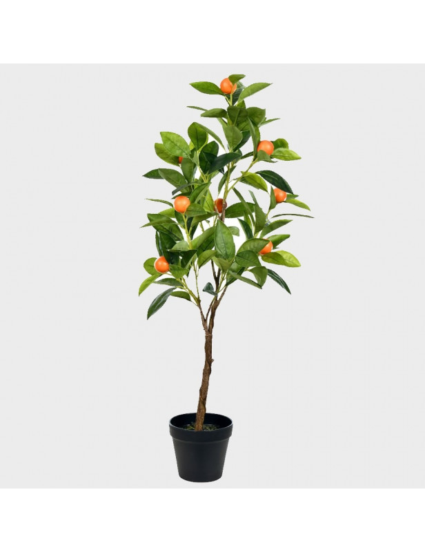 1gl Fukumoto Navel Orange